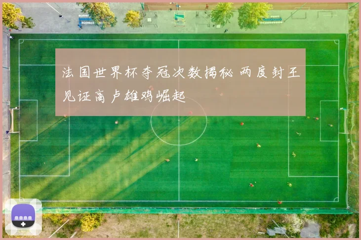 法国世界杯夺冠次数揭秘 两度封王见证高卢雄鸡崛起