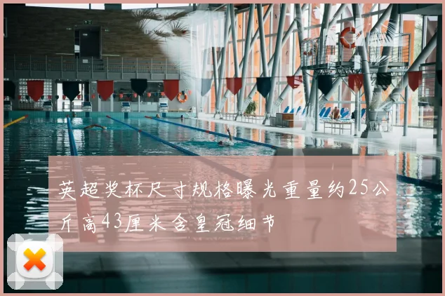 英超奖杯尺寸规格曝光重量约25公斤高43厘米含皇冠细节