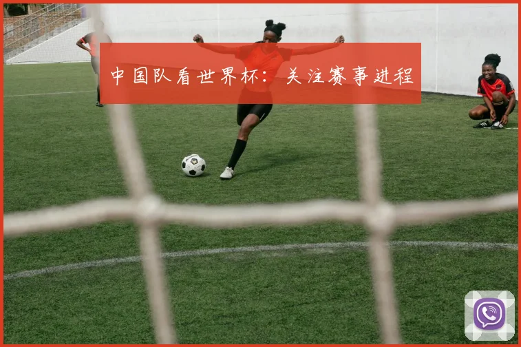 中国队看世界杯：关注赛事进程