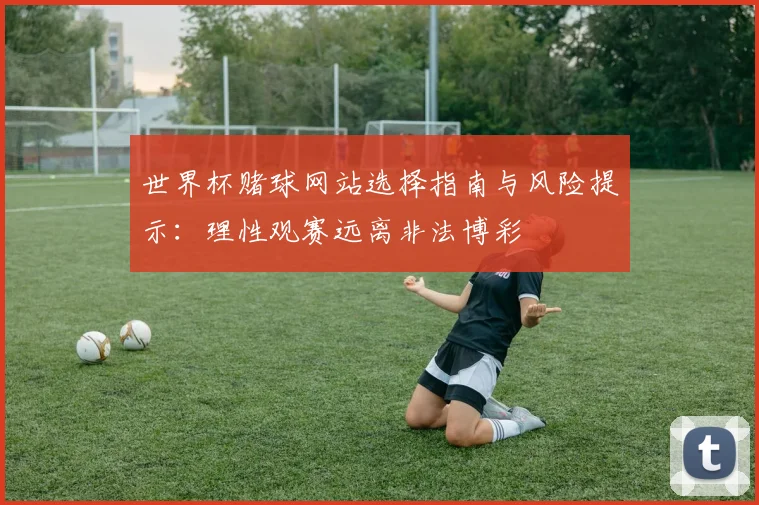 世界杯赌球网站选择指南与风险提示：理性观赛远离非法博彩