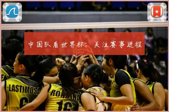 中国队看世界杯:关注赛事进程